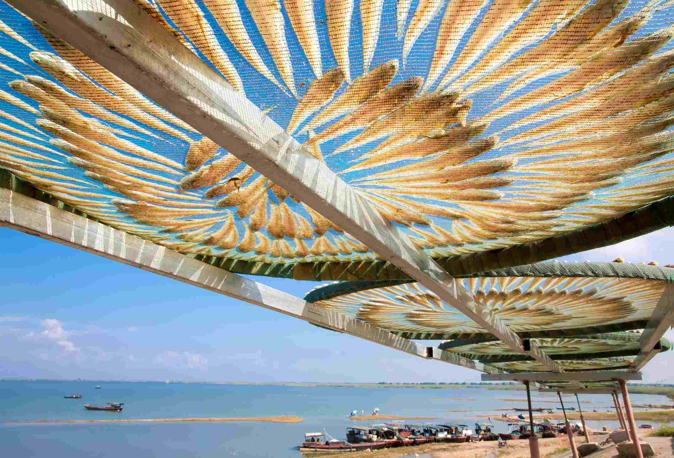 ���T�l�L(f��ng)���~