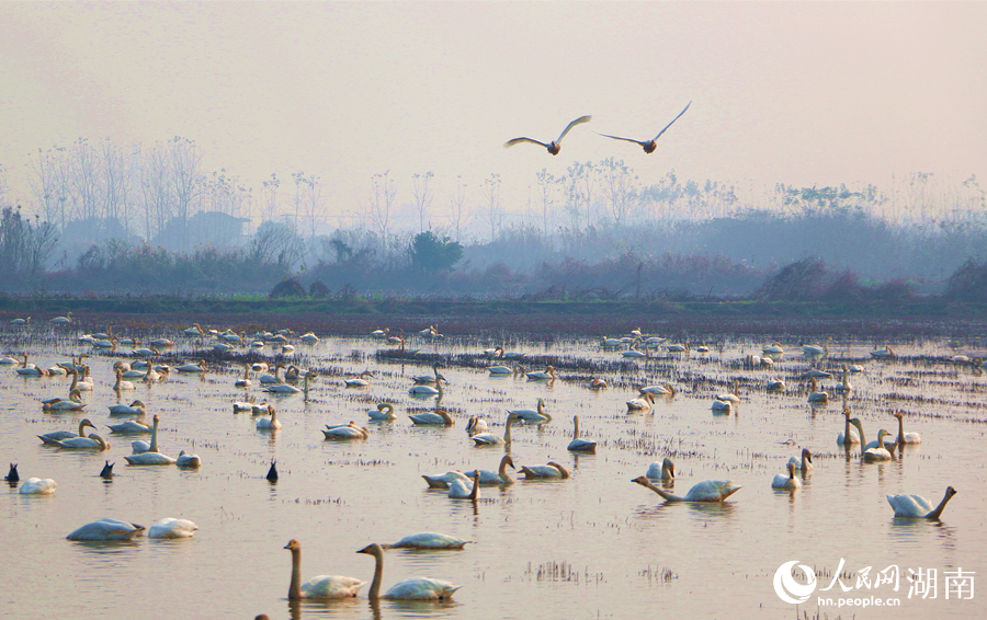 ��ꖖ|�ź����B�輯������W(w��ng)ӛ�� ���e�z